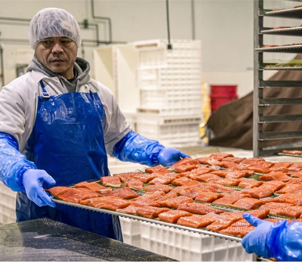 Employees processing salmon