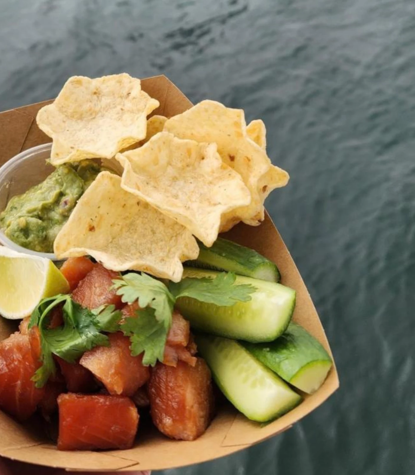 salmon party boat
