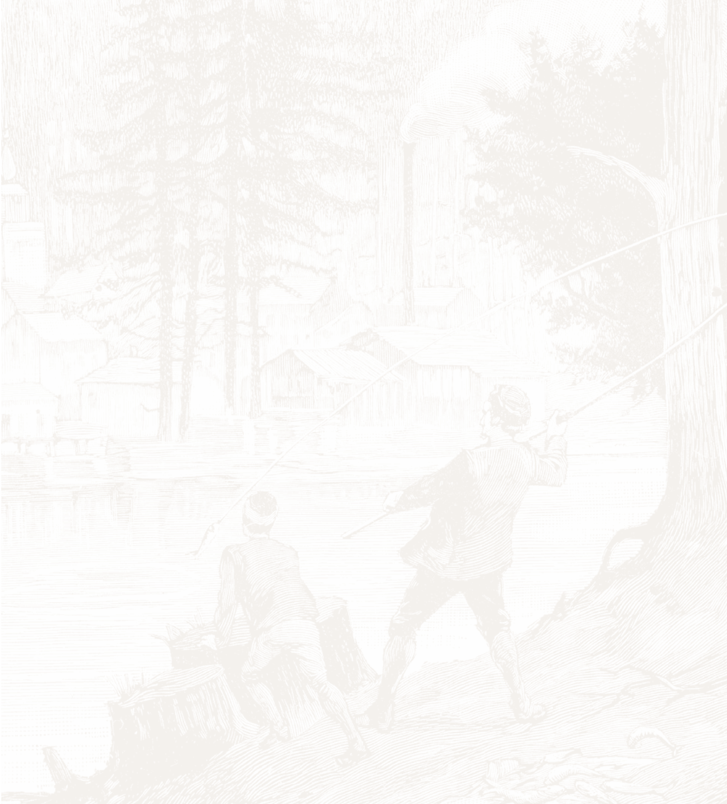 Illustrated fishing scene.