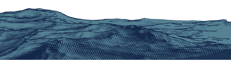 Illustrated ocean wave.